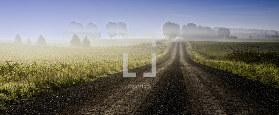 looking down a long dirt road and fog covering a field 