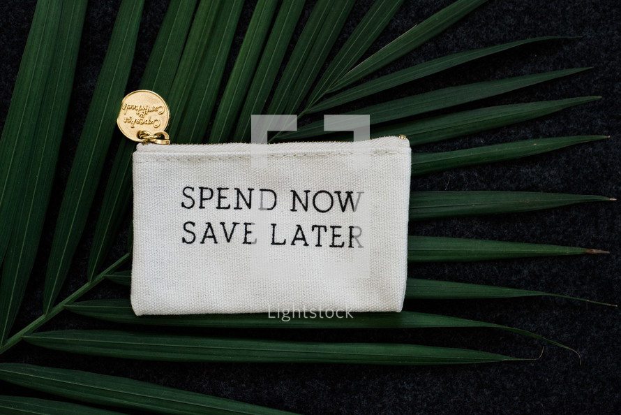 Spend now save later coin purse on a palm frond 