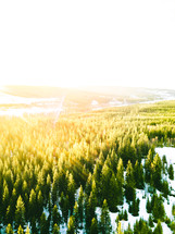 aerial view over a winter forest 