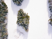 aerial view over a winter pine forest 