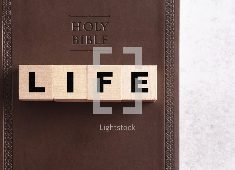 Holy Bible and word life 