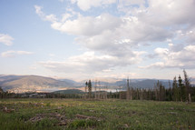 Pasture of grass with trees and mountains in the background.