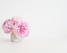 A vase of pink peonies on a white background.