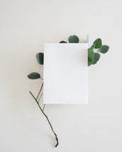 envelope and a twig with leaves on white background