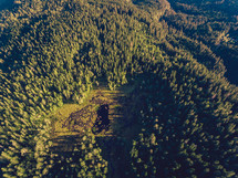 aerial view over forest below 