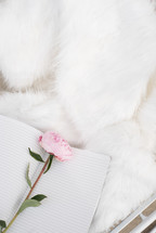 A pink flower on a blank journal laying on a white furry surface.