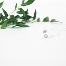A sprig of green leaves and white earphones on a white background.