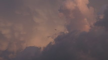 storm clouds in the sky and a bird 