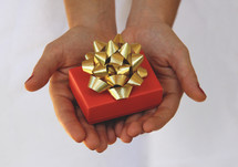 A person presenting a gift