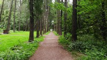 path in a park 