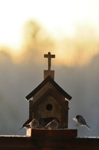 birds at a church shaped bird feeder 