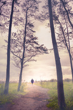 a man walking on a path through a fog forest 