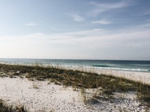 sand and dunes along a shoreline 