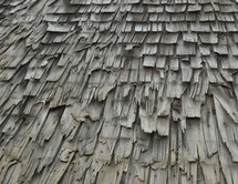 Rotting shingles on an old roof