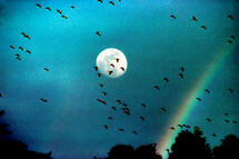 geese in the sky and full moon with rainbow 
