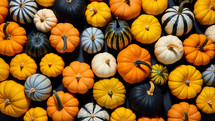 Thanksgiving background with pumpkins and squashes.
