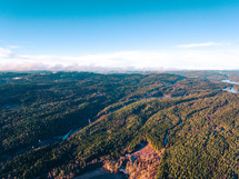 aerial view over a vast forest 