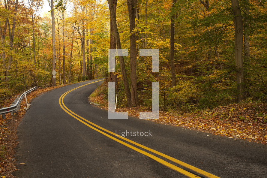 a curve on a road in fall 
