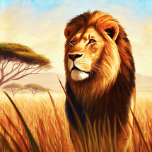Abstract painting concept. Colorful art of a Lion in the savannah. Landscape. Digital art image.
