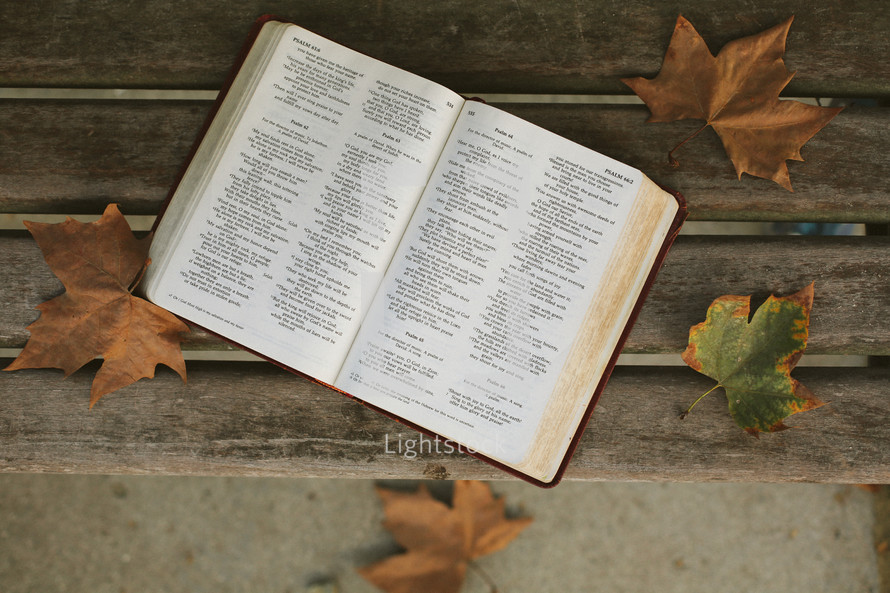 an open Bible on a bench in fall 