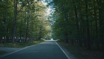 traveling on a road through a forest 