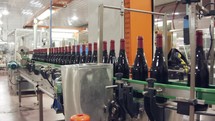 Red Wine bottles on a conveyor belt in a wine bottling factory.