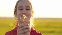 Girl blowing on the ripened dandelion in the evening against the background of the sunset sun. Summer fun concept.