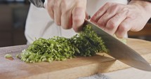 Slow motion of chef knife slicing celery leaves