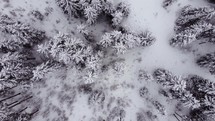 Snowy nature aerial 