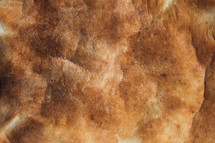 closeup of unleavened bread for communion 