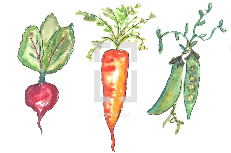 a watercolor painting of vegetables