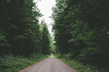 a gravel and dirt road through a forest 