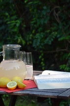 Bible study in the summertime – outside in the garden with fresh self made lemonade. 
bible study, bible, study, quiet time, time, quiet, outside, outdoor, garden, lemonade, drink, drinking, word, hunger, God's word, daily, need, needing, feed, feeding, bible study, read, reading, open, everyday, focus, scripture, holy book, learn, learning, jug, jar, mug, glass, pen, pencil, write, writing, notes, summertime, summer, sunshine, sunny, warm, free time, free 