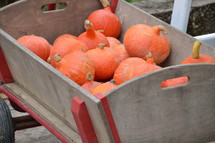 orange hokkaido pumpkins in a wagon