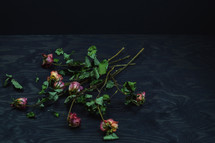 bouquet of dead roses 