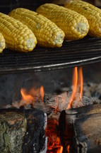 grilling corn over a fire 