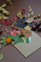 leaves and acorns in an envelope 