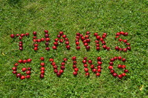 Thanks giving written with cherries in the grass