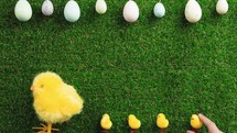 Easter Decoration Background with copy space 