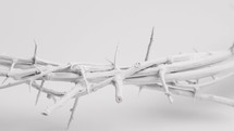 White crown of thorns on white background, rotating slowly.