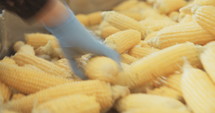 Workers in a Corn processing factory