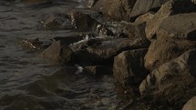 water lapping onto rocks 