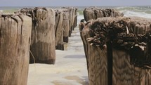 posts from an old pier and tide 