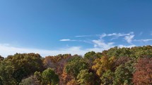 Drone footage of trees in the fall with leaves changing colors.