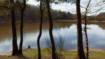 Walking Among Trees Near Lake Zomaro In Aspromonte Mountains