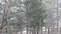 falling snow and winter fence line 