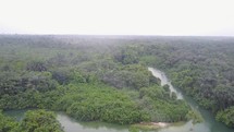 aerial view over a river in a jungle 