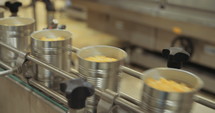 Canned food automated production line