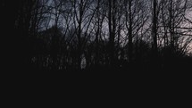 Slowly walking through the woods at dusk, before Spring has arrived.