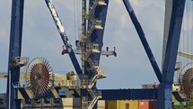 Cranes at work in the commercial port